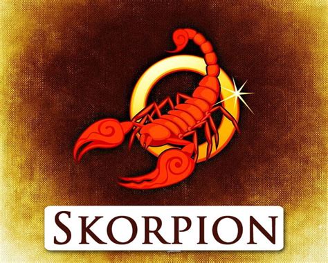 tarot skorpion heute|Tageshoroskop Skorpion